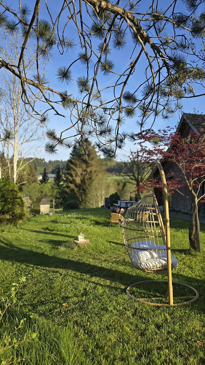 Hängesessel unter einem Baum im Garten